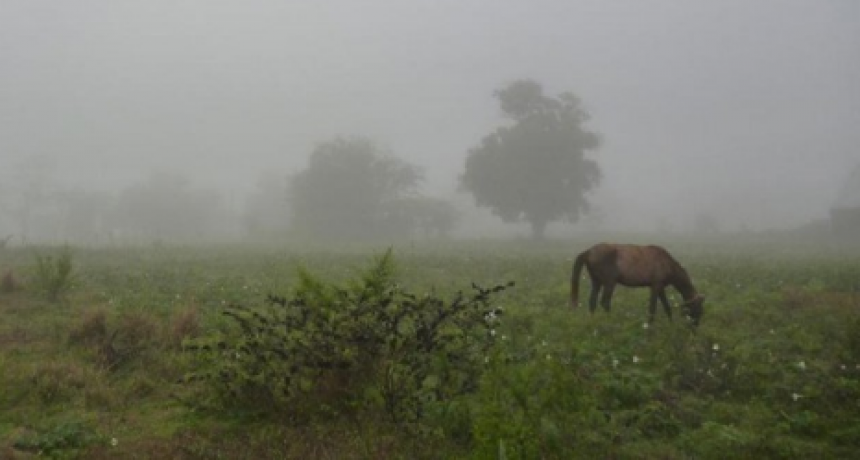Llueve en gran parte de la provincia: Alivio en localidades productivas