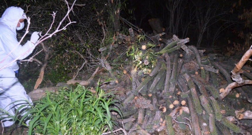 Tras varios días de búsqueda, encontraron muerto al hombre de 61 años desaparecido en El Potrillo