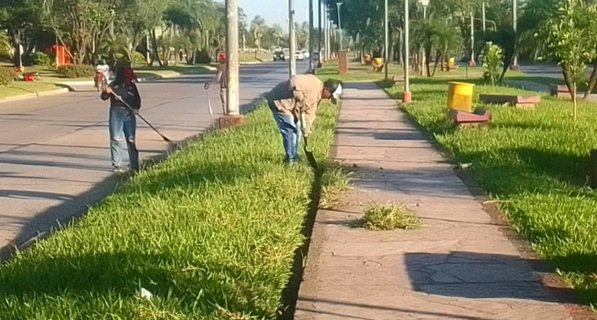 La comuna prosigue con tareas de mantenimiento y embellecimiento en espacios verdes capitalinos