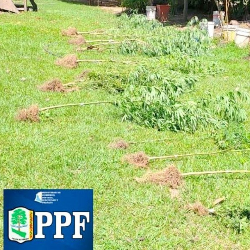 La Policía secuestró 16 plantines de marihuana y detuvo a una persona