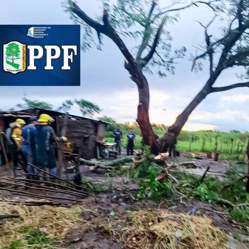 Un árbol cayó sobre un hombre y sus dos hijos; lamentablemente un niño de un año falleció