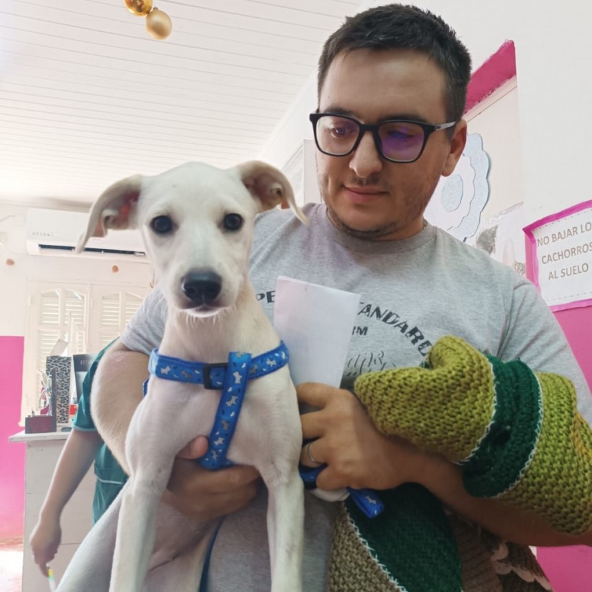Actividades de la 𝐃𝐈𝐑𝐄𝐂𝐂𝐈𝐎́𝐍 𝐃𝐄 𝐙𝐎𝐎𝐍𝐎́𝐒𝐈𝐒 - 𝐏𝐑𝐎𝐌𝐄𝐏𝐎
