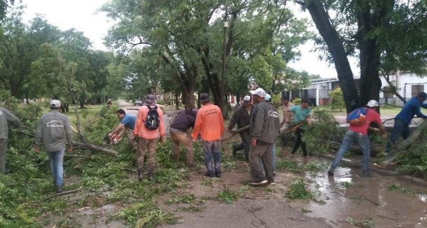 El Colorado: Trabajan en asistir a los damnificados por la fuerte tormenta que azotó la localidad
