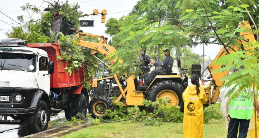 La Municipalidad trabajó para retirar la importante cantidad de árboles caídos en la ciudad por la tormenta