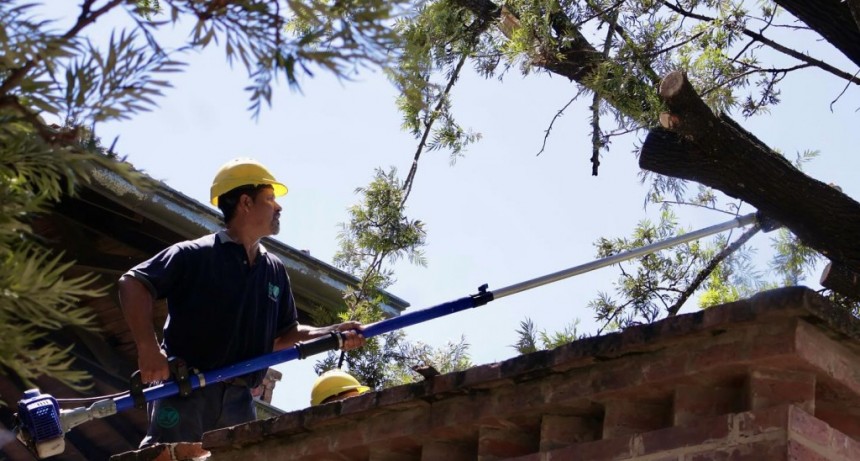 Las cuadrillas municipales continúan realizando tareas en diferentes barrios que sufrieron la caída de árboles