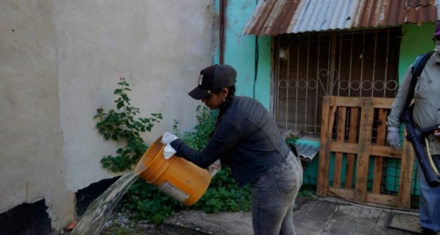 Instan a mantener limpios los patios, porque “sin mosquito no hay dengue”