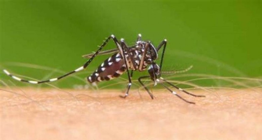 Informaron a la población sobre los centros de salud y hospitales donde pueden concurrir a realizarse el análisis de dengue