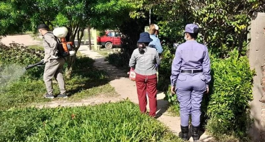Ingreso a hogares: Desarrollo Humano desmiente sobre un supuesto estado de alerta que circula en redes sociales