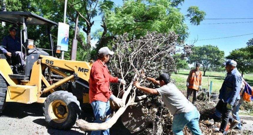 La Municipalidad llegó a más de 30 barrios de la ciudad con el operativo integral de limpieza