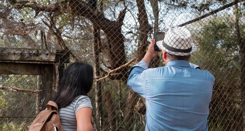 La Reserva Guaycolec ofrece paseos en kayak y visitas al Serpentario los fines de semana