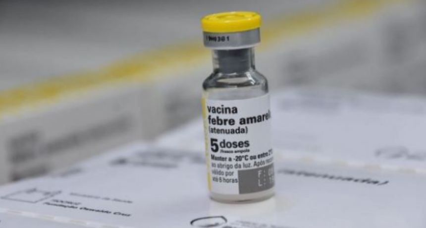 En el inicio del año nuevo, reiteran a los viajeros la importancia de vacunarse contra la fiebre amarilla