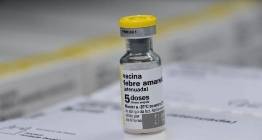 En el inicio del año nuevo, reiteran a los viajeros la importancia de vacunarse contra la fiebre amarilla
