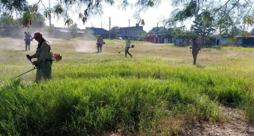 LA COMUNA PROSIGUE CON TAREAS DE MANTENIMIENTO Y EMBELLECIMIENTO EN ESPACIOS VERDES CAPITALINOS