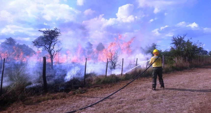 El Cuerpo de Bomberos extinguió 74 incendios de pastizal en lo que va de enero