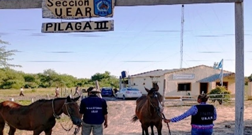 La Policía secuestró animales en pie, cuchillos y una escopeta