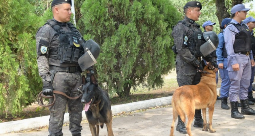 La Policía labró 363 actas de infracción y sacó de circulación a 75 conductores alcoholizados