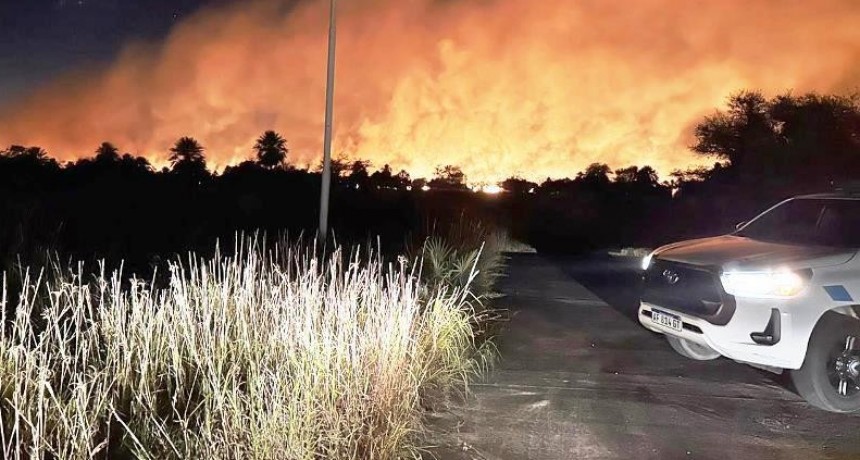 Incendio de pastizal y campo consumió 15 hectáreas