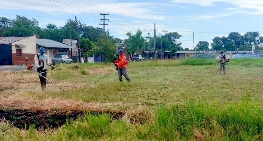 Activa intervención del municipio para el mantenimiento de espacios verdes en la ciudad