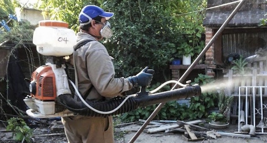 Dengue: El número de casos registrados se mantiene estable