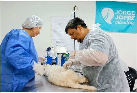 Zoonosis informó días y horarios de atención durante la temporada de verano