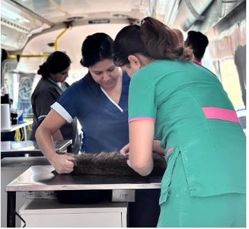 La Municipalidad de Formosa continuará fortaleciendo la salud animal en el 2026