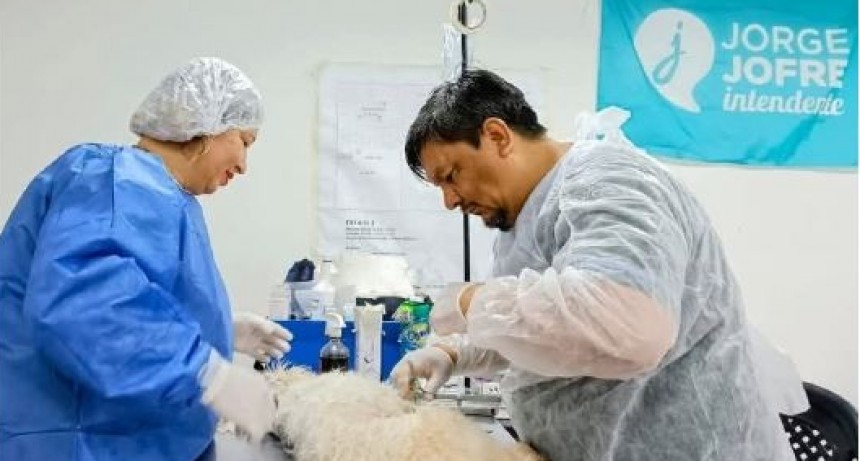 Zoonosis informó días y horarios de atención durante la temporada de verano