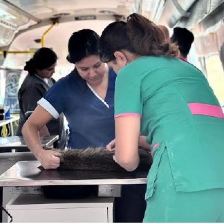 La Municipalidad de Formosa continuará fortaleciendo la salud animal en el 2026