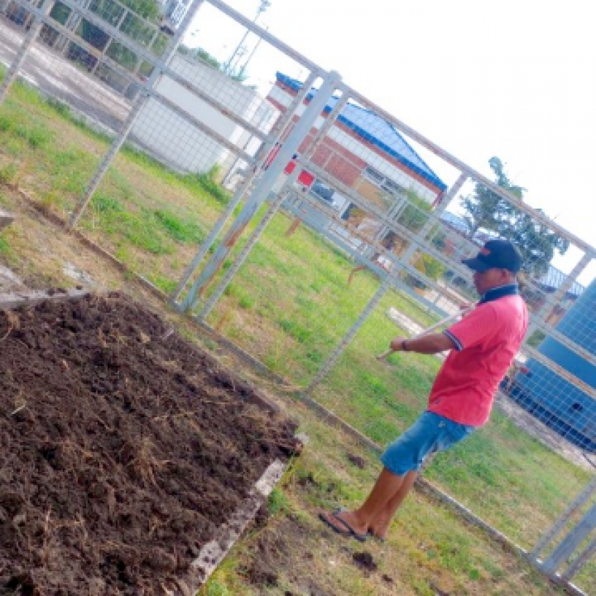 El taller de huerta continúa como espacio terapéutico de los pacientes de salud mental