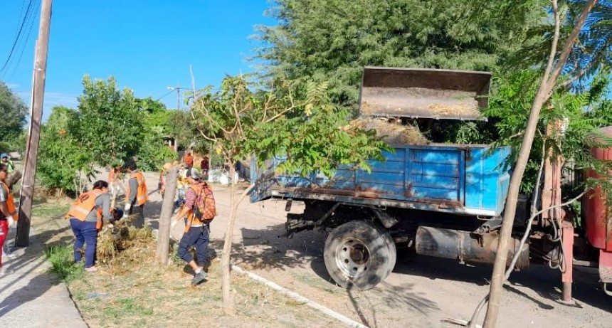 El Municipio benefició a los barrios Lote 111, Lote 110, Procrear y Stella Maris a través del plan de limpieza integral