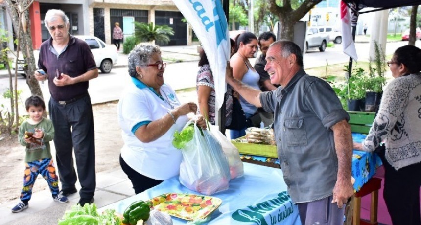Bolsones saludables con destacada demanda en esta primera semana de comercialización