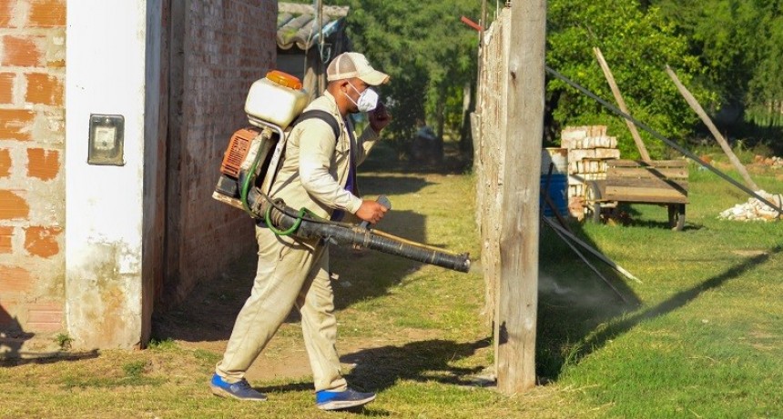 En el interior siguen sin pausa las acciones contra el dengue