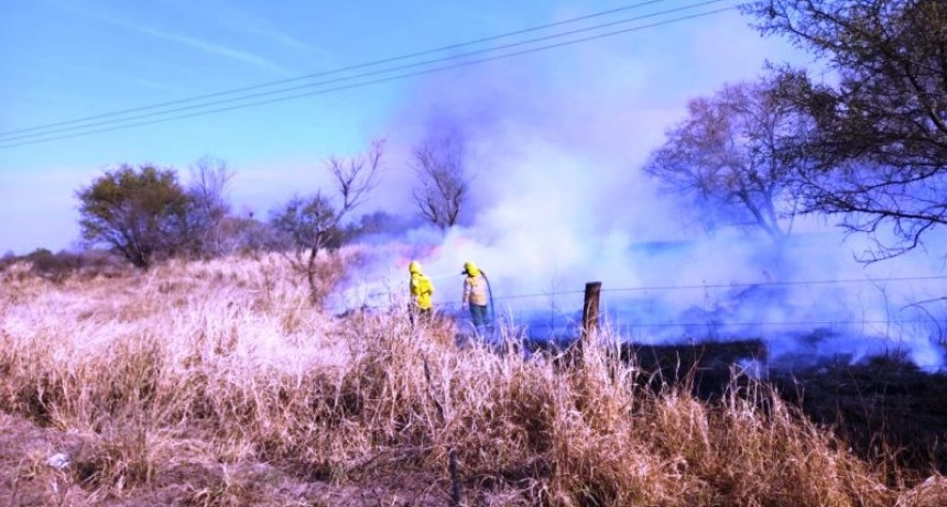 Brindan recomendaciones para evitar incendios forestales, ya que causan daños al ambiente y la producción