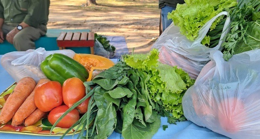 Miércoles y jueves Bolsones Saludables en varios puntos de venta