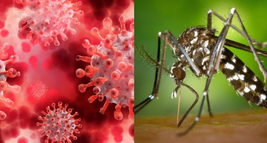 Dengue y coronavirus: ¿Cómo sigue la situación epidemiológica en la provincia?