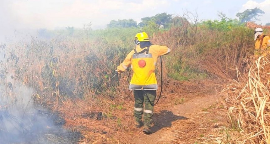 El Cuerpo de Bomberos intervino en más de 120 incendios en lo que va de enero y febrero