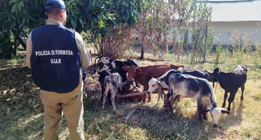 La Policía investiga el supuesto robo de animales denunciado por una vecina