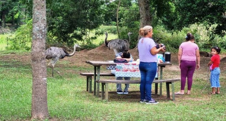 Visitantes disfrutaron este fin de semana de la Reserva Guaycolec y sus diversas actividades