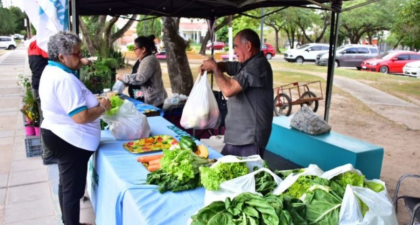 Nueva semana de venta de los bolsones saludables 