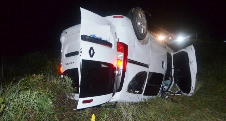 Un vehículo utilitario con seis ocupantes colisionó un búfalo y volcó; afortunadamente resultaron ilesos