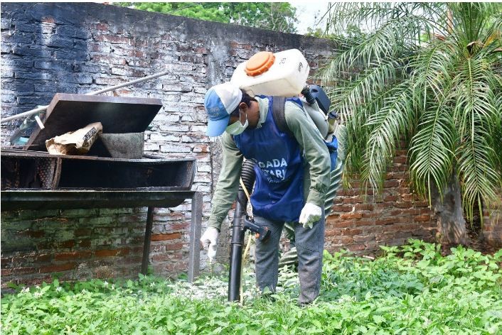 El último reporte informó un leve aumento de casos positivos de dengue