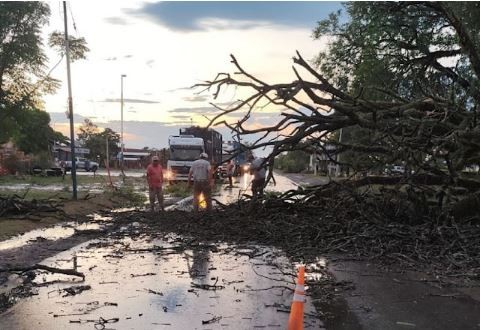 Rápida intervención del Gobierno de Formosa por un fuerte temporal