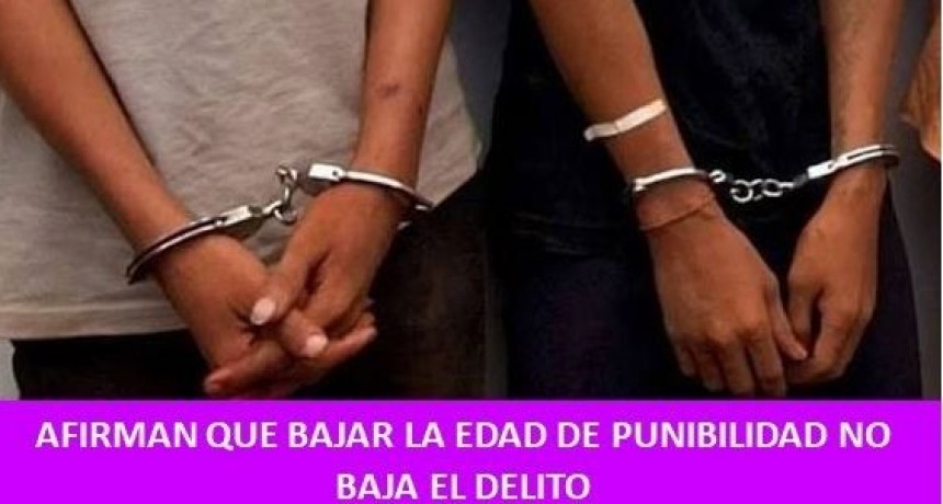 Afirman que bajar la edad de punibilidad no baja el delito