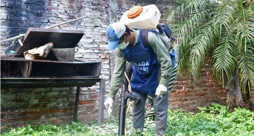 El último reporte informó un leve aumento de casos positivos de dengue