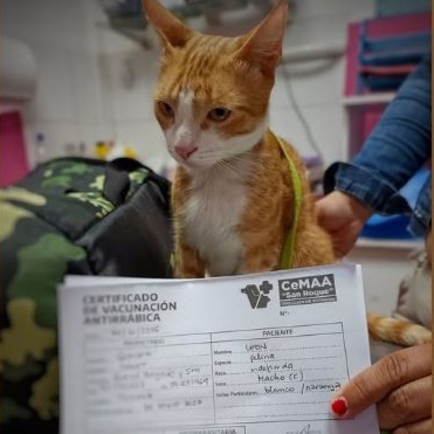‎En Centro Municipal de Atenci&oacute;n Animal no solo cuidamos la salud de los animales; tambi&eacute;n acompa&ntilde;amos a las familias en los nuevos cap&iacute;tulos de sus vidas. 