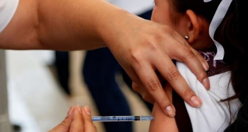 Antes del inicio de clases recomiendan controlar y completar el carnet de vacunación de niñas y niños en edad escolar