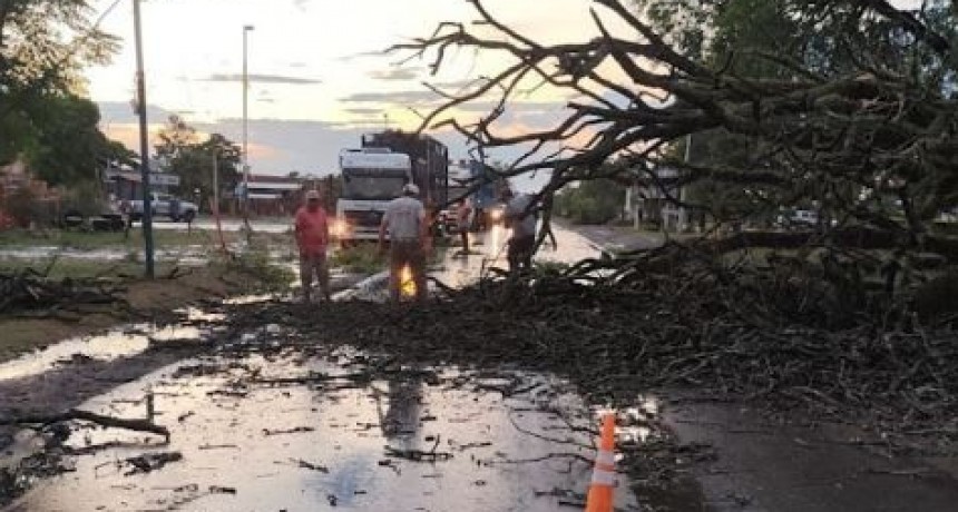R&aacute;pida intervenci&oacute;n del Gobierno de Formosa por un fuerte temporal