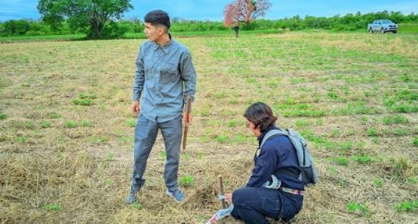 La UPLaB llev&oacute; a cabo una nueva campa&ntilde;a de soja