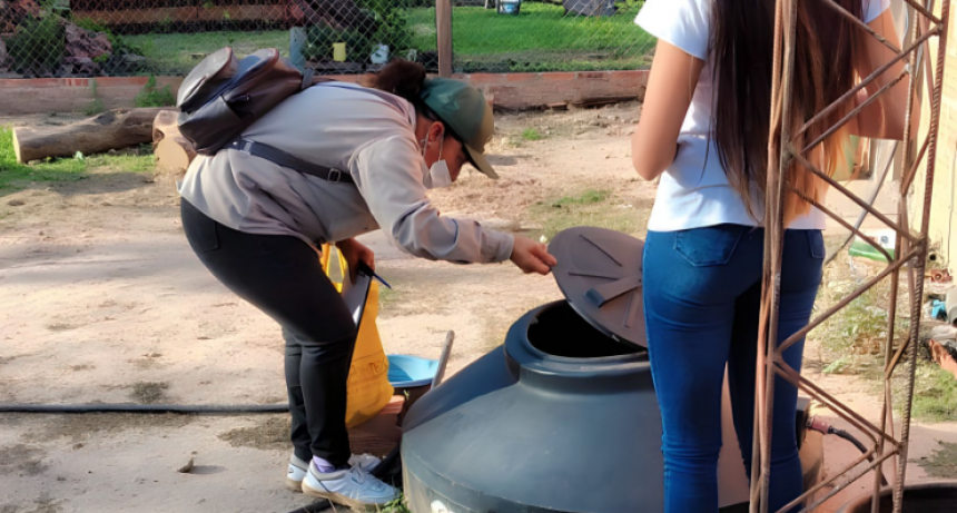 Fortalecen trabajos de prevención contra el dengue en El Colorado