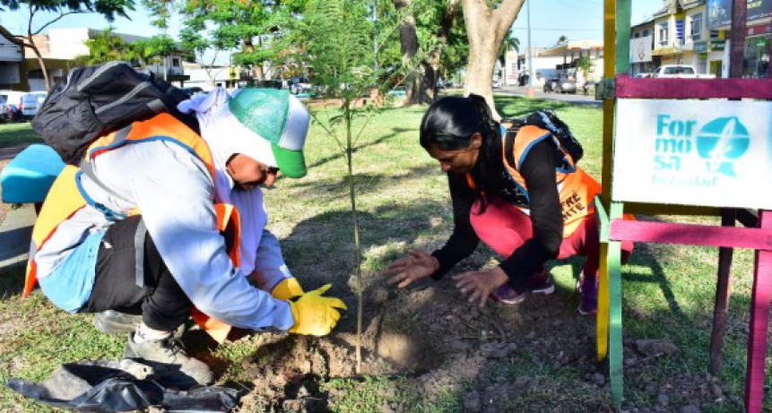 La comuna plantó especies arbóreas en avenidas de la ciudad en conmemoración del Día del Árbol