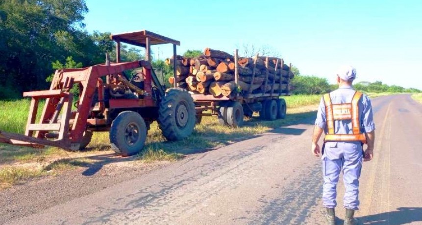 La Policía secuestró 64 rollos de madera en Colonia Loma Senes
